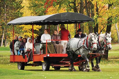 Horse-drawn carriage or sleigh ride